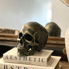 Black and Gold Skull Ornament On Books