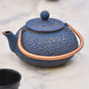 Handle Down on Copper and Navy Teapot 