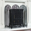 Decorative Black Fire Guard In Situ 