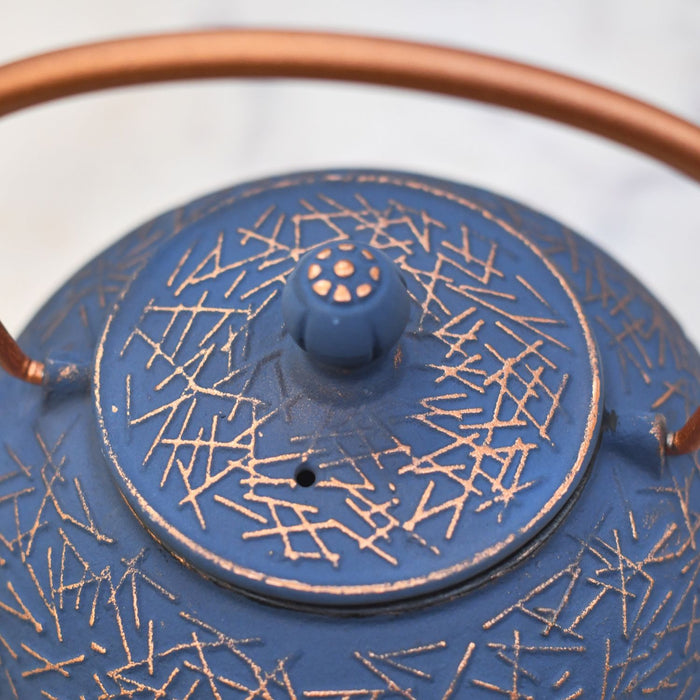 Lid on Iron Teapot 