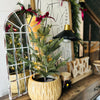 Rustic Mirror by Christmas Tree 