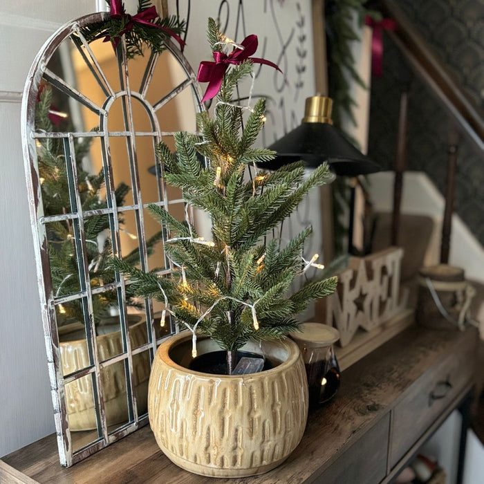 Rustic Mirror by Christmas Tree in pot 